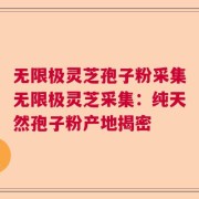无限极灵芝孢子粉采集无限极灵芝采集：纯天然孢子粉产地揭密