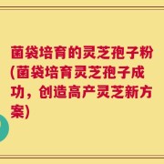 菌袋培育的灵芝孢子粉(菌袋培育灵芝孢子成功，创造高产灵芝新方案)