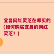 宜昌网红灵芝在哪买的(如何购买宜昌的网红灵芝？)