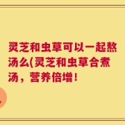 灵芝和虫草可以一起熬汤么(灵芝和虫草合煮汤，营养倍增！