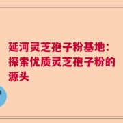 延河灵芝孢子粉基地：探索优质灵芝孢子粉的源头