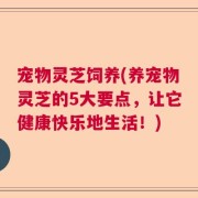 宠物灵芝饲养(养宠物灵芝的5大要点，让它健康快乐地生活！)