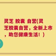 灵芝 胶囊 自营(灵芝胶囊自营，全新上市，助您健康生活！)