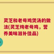 灵芝和老母鸡煲汤的做法(灵芝炖老母鸡，营养美味滋补佳品)