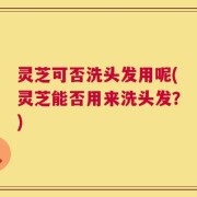 灵芝可否洗头发用呢(灵芝能否用来洗头发？)