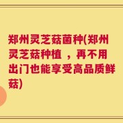 郑州灵芝菇菌种(郑州灵芝菇种植 ，再不用出门也能享受高品质鲜菇)