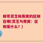 鲜萃灵芝和燕窝的区别在哪(灵芝与燕窝：区别是什么？)