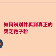 如何辨别并买到真正的灵芝孢子粉