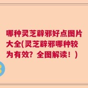 哪种灵芝辟邪好点图片大全(灵芝辟邪哪种较为有效？全图解读！)