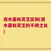 腐木菌和灵芝区别(腐木菌和灵芝的不同之处)