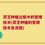 灵芝种植过程中的管理技术(灵芝种植的管理技术及流程)