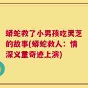 蟒蛇救了小男孩吃灵芝的故事(蟒蛇救人：情深义重奇迹上演)