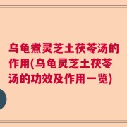 乌龟煮灵芝土茯苓汤的作用(乌龟灵芝土茯苓汤的功效及作用一览)