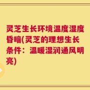 灵芝生长环境温度湿度昏暗(灵芝的理想生长条件：温暖湿润通风明亮)