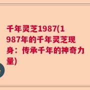 千年灵芝1987(1987年的千年灵芝现身：传承千年的神奇力量)