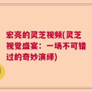 宏亮的灵芝视频(灵芝视觉盛宴：一场不可错过的奇妙演绎)