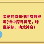 灵芝的诗句作用有哪些呢(诗中探寻灵芝，味道浓郁，功效神奇)