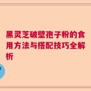 黑灵芝破壁孢子粉的食用方法与搭配技巧全解析