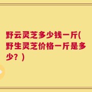 野云灵芝多少钱一斤(野生灵芝价格一斤是多少？)