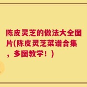 陈皮灵芝的做法大全图片(陈皮灵芝菜谱合集，多图教学！)