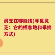 灵芝在哪能找(寻觅灵芝：它的栖息地和采摘方式)