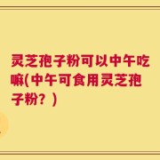 灵芝孢子粉可以中午吃嘛(中午可食用灵芝孢子粉？)