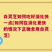 白灵芝如何吃好消化快一点(如何在消化更快的情况下正确食用白灵芝)