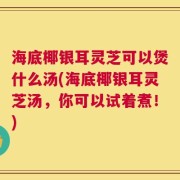 海底椰银耳灵芝可以煲什么汤(海底椰银耳灵芝汤，你可以试着煮！)