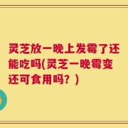 灵芝放一晚上发霉了还能吃吗(灵芝一晚霉变还可食用吗？)