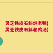 灵芝铁皮石斛炖老鸭(灵芝铁皮石斛老鸭汤)