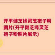 开平健芝缘灵芝孢子粉图片(开平健芝缘灵芝孢子粉照片展示)