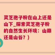 灵芝孢子粉在山上还是山下_探索灵芝孢子粉的自然生长环境：山巅还是山谷？)