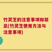 竹灵芝的注意事项和禁忌(竹灵芝使用方法与注意事项)