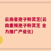 云南省孢子粉灵芝(云南重视孢子粉灵芝 全力推广产业化)