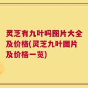 灵芝有九叶吗图片大全及价格(灵芝九叶图片及价格一览)
