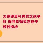 无锡哪里可种灵芝孢子粉 探寻无锡灵芝孢子粉种植地