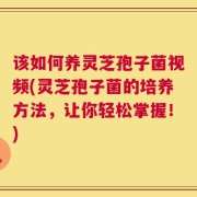 该如何养灵芝孢子菌视频(灵芝孢子菌的培养方法，让你轻松掌握！)