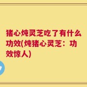 猪心炖灵芝吃了有什么功效(炖猪心灵芝：功效惊人)