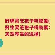 野牌灵芝孢子粉胶囊(野生灵芝孢子粉胶囊：天然养生的选择)