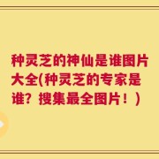 种灵芝的神仙是谁图片大全(种灵芝的专家是谁？搜集最全图片！)