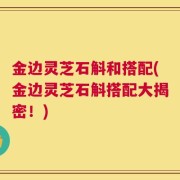 金边灵芝石斛和搭配(金边灵芝石斛搭配大揭密！)