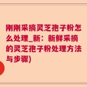刚刚采摘灵芝孢子粉怎么处理_新：新鲜采摘的灵芝孢子粉处理方法与步骤)