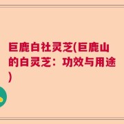 巨鹿白社灵芝(巨鹿山的白灵芝：功效与用途)