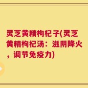灵芝黄精枸杞子(灵芝黄精枸杞汤：滋阴降火，调节免疫力)
