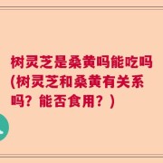树灵芝是桑黄吗能吃吗(树灵芝和桑黄有关系吗？能否食用？)