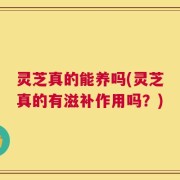 灵芝真的能养吗(灵芝真的有滋补作用吗？)