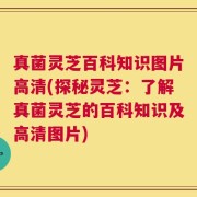 真菌灵芝百科知识图片高清(探秘灵芝：了解真菌灵芝的百科知识及高清图片)