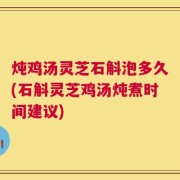 炖鸡汤灵芝石斛泡多久(石斛灵芝鸡汤炖煮时间建议)