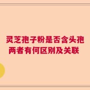 灵芝孢子粉是否含头孢 两者有何区别及关联