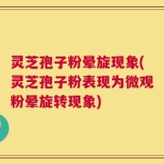 灵芝孢子粉晕旋现象(灵芝孢子粉表现为微观粉晕旋转现象)